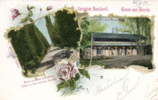 Buziásfürdő with alley and spa (EK)