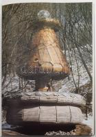 Fábián László-Fernando González Gortázar: Konstrukciók struktúrák a magyar építészetben és képzőművé...