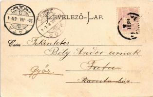 1899 Versec, Vrsac; Stadtpark / park, szökőkút. Wilh. Wettl kiadása / park, fountain (fa)