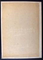 Magyar és külföldi bélyegek 16 lapos nagy könyvkötészeti berakóban. Érdekes vegyes anyag, benne az 1...