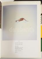 1993 - 2013 Galéria Blitz katalógusok 20. [A galéria tavaly, 2025-ben megszűnt.]