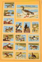 Sok ezer darab gyufacímke mappákban, borítékokban, ívekben, plusz gyufásdobozok