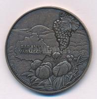 2024. 3000Ft Cu-Zn "Baranya vármegye, Pécs" kapszulában T:UNC