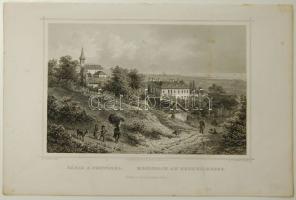 ~1840 L. Rohbock: Rákos a Fertőnél acélmetszet 24x16cm-es méretben