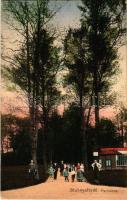 1913 Stubnyafürdő, Túróchévíz, Stubnianske Teplice, Turcianske Teplice; Parkallee / Park részlet / park, spa (EK)