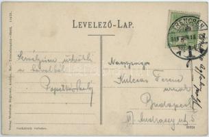 Trencsénteplic, Trencianske Teplice; nyaralók. Wertheim Zsigmond kiadása / villas (EK)