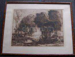 Jelzés nélküli erotikus rézkarc keretben 44x34 cm