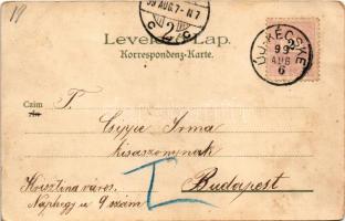 1899 Trencsénteplic, Trencianske Teplice; látkép. Kunstanstalt Kosmos 141. / view. litho (EB)