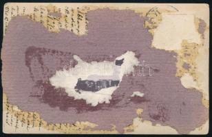 cca 1910 Vadászok csoportképe elejtett farkassal, fotólap, hátoldalán albumba ragasztás nyomával, 9×...