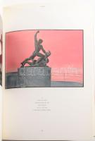 Roald Nasgaard - Clara Hargittay: Free worlds. Metaphors and realities in contemporary Hungarian art...