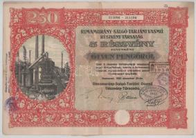 1925. Budapest "Rimamurány-Salgó-Tarjáni Vasmű Részvény-Társaság" 5db részvénye egyben, egyenként 50P-ről "314096-314100", szárazpecséttel, bélyegzésekkel, szelvényekkel T:F