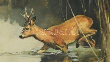 Péntek Éva (1936-2025): Őzike (vadászat témájú festmény). Olaj, farost, jelzett, fakeretben, 30×60 c...