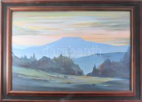 Mizser Pál (1941-2021): Hajnalpír. Tempera, farost, jelzett, hátoldalán Szőnyi István Alkotóközössége címkéjével. Üvegezett fakeretben, 50x70 cm