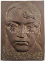 Melocco Miklós (1935 -): Ady Endre plakett (idézettel Ékes magyarnak soha szebbet, száz menny és pokol sem adhatott), 1976. Bronz. Jelzett, 20x28 cm