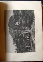 Igazi különlegesség: Wales-i nyelvű nagyméretű  metodista biblia: Bibl Cyssegr-lan, William Mackenzi...