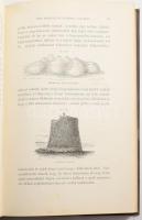 Sir John Lubbock: A történelem előtti idők, megvilágítva a régi maradványok s az újabbkori vadnépek ...