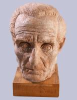 Jelzés nélkül: Férfi fej Terrakotta, fa alapon, 26 cm