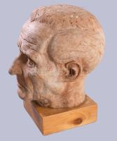 Jelzés nélkül: Férfi fej Terrakotta, fa alapon, 26 cm