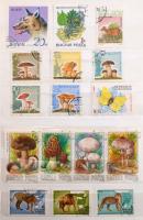 Magyar és külföldi bélyegek vegyesen 2 db A4, 6 db közepes és 3 db kis berakóban, bennük sorok, blokkok, 3 dimenziós bélyegek, szép motívumok. Javarészt pecsételt színes anyag.