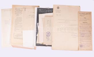 ca 1860-1960 Schultze Vilmos a Gránit porcelángyári igazgatójának teljes okmány hagyatéka. A tanulóé...