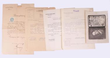 ca 1860-1960 Schultze Vilmos a Gránit porcelángyári igazgatójának teljes okmány hagyatéka. A tanulóé...