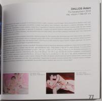 Oltai Kata: Kontextus. Adalékok. Hogyan közelítsünk kortárs vizuális művészethez. Szerk.: - -. Bp., ...