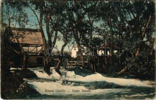 Sarajevo, Bosna Quelle, Vrelo Bosne / spring of river Bosna. L. Finzi (EK)