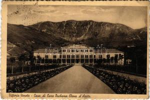 Vittorio Veneto, Casa di Cura Duchessa Elena d'Aosta / villa (EK)