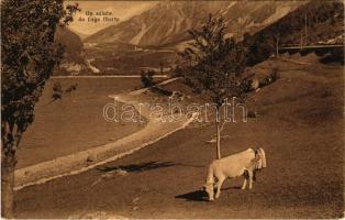 1918 Vittorio Veneto, Lago Morto. R. Bigontina / lake + "K.u.k. Hauptfeldpostamt 550"