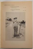 Perneczky Géza: Csipkebokorgyújtogatók. /Új hiba-tan./ A korszak mint műalkotás. /1982./ Vizuális an...