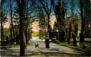 1918 Pöstyén, Piestany; Gyógykert / spa park (EK)