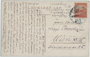 1918 Pöstyén, Piestany; Gyógykert / spa park (EK)