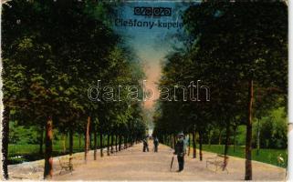 Pöstyén, Piestany; Főfasor. Vasúti levelezőlapárusítás 57. sz. 1917. / park (ragasztónyom / glue marks)