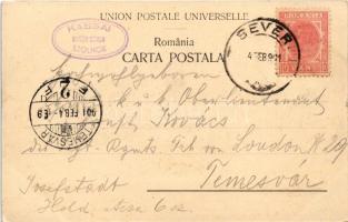 1901 Turnu Severin, Szörényvár; Gradina Publica. Josef Frisch / park (EK)