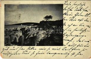 1909 Brijuni, Brioni (Istria); Klippenpartie bei Val di Torre / cliffs, island. (EM)