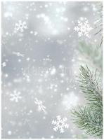 2017. "Magyar Pénzverő" ünnepi emlékérem eredeti karton díszlapon T:UNC