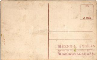 Cheb, Eger; Insel-Mühlerl / café and restaurant (EM)