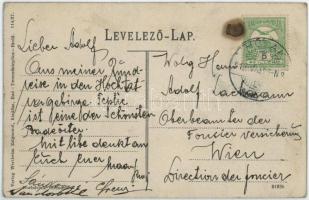 Trencsénteplic, Trencianske Teplice; látkép. Wertheim Zsigmond kiadása / general view (EB)