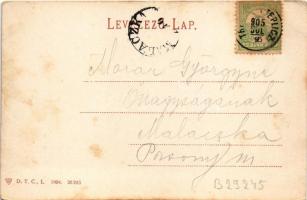 1905 Trencsénteplic, Trencianske Teplice; látkép / general view (fl)