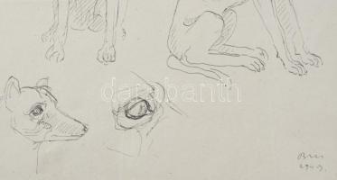 Azonosítatlan jelzéssel: Kutya vázlatok. Tus, papír, paszpartuban 21x26 cm