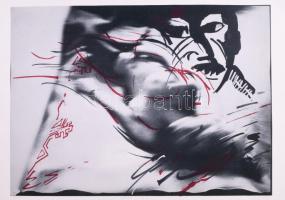 Jelzés nélkül: modern fotóművészeti alkotás. nyomat. 42x29 cm