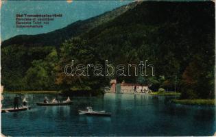 1916 Trencsénteplic, Trencianske Teplice; Baracska-tó az uszodával és csónakázókkal. Wertheim Zsigmond kiadása / lake with swimming pool and rowing boats (szakadás / tear)
