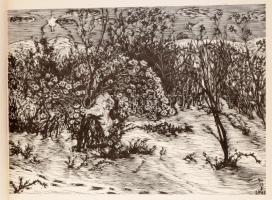 Gy. Szabó Béla 2 műve: Dante Alighieri: La Divina Commedia. Kolozsvár, 1976, Dacia. Gy. Szabó Béla 2...