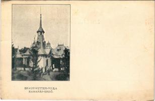 Horgos, Kamaráserdő; Brauswetter villa / villa (EK)