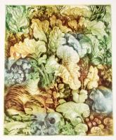 Frank János: Szabó Vladimir. Bp., 1976, Corvina, 8 p.+12 t (ofszet reprodukciók). Magyar, angol, fra...