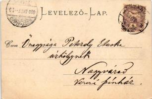 1900 Trencsénteplic, Trencianske Teplice; látkép. Gansel Lipót kiadása / general view (fl)