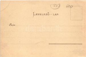 Trencsénteplic, Trencianske Teplice; látkép. Hermann Seibt kiadása / general view (EK)