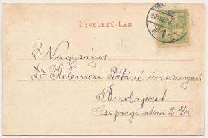 1904 Hódmezővásárhely, sétatéri Vigadó. Reisz bazár kiadása (ázott / wet damage)