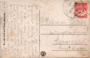 1917 Balatonaliga, Aliga (Balatonvilágos); A telepre vezető út, fürdőtelep. Novák Jenő kiadása (EM)