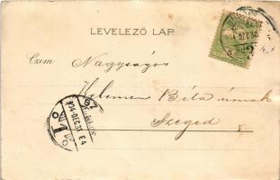 1904 Budapest II. Császár fürdő, belső. Kosmos Art Nouveau, floral, litho (r)